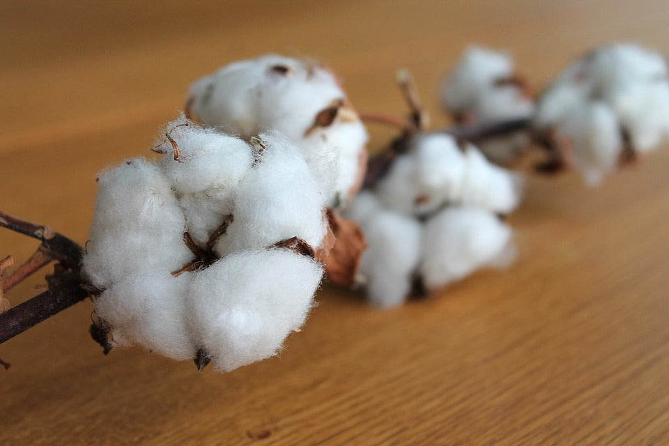 Filati di Cotone: conosci tutte le differenze e le tipologie?