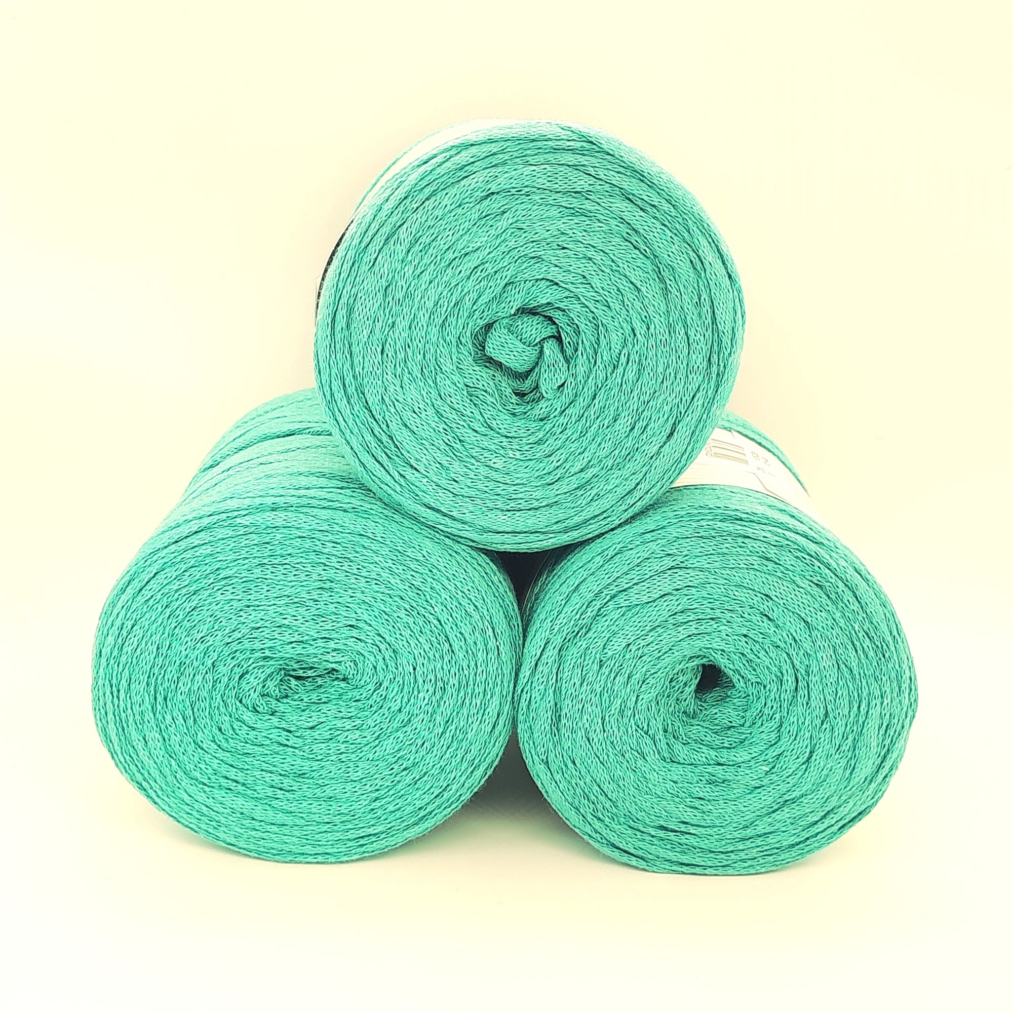 Fettuccia Ribbon Verde Menta 250gr