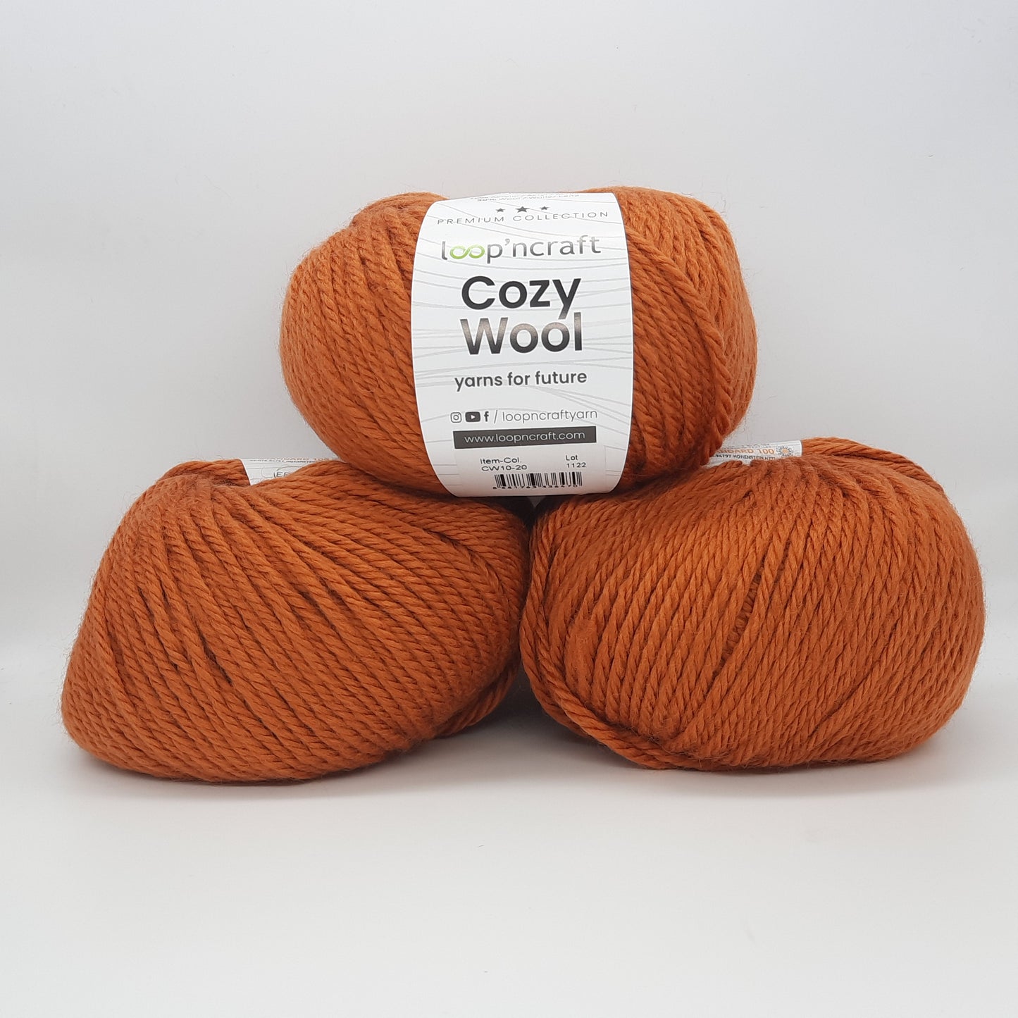 Cozy Wool Mattone 100gr